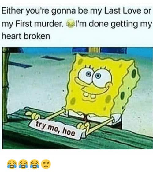 heartbroken last love or first murder meme