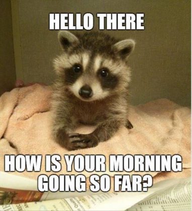 80 Good Morning Memes To Kickstart Your Day - SayingImages