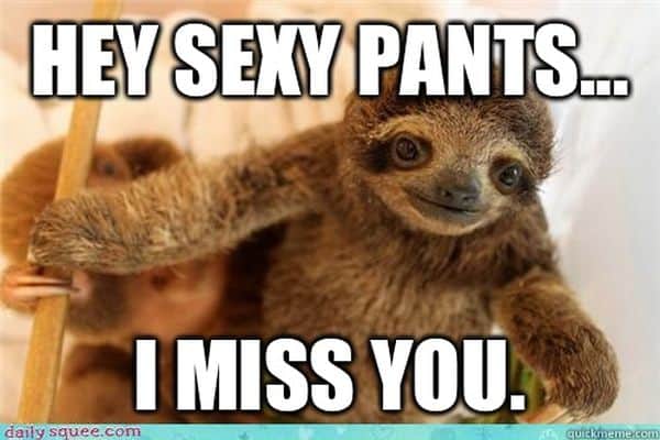 60 Cutest I Miss You Memes Of All Time Sayingimages Com