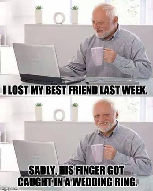 hide the pain harold bestfriend meme