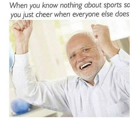hide the pain harold sports meme