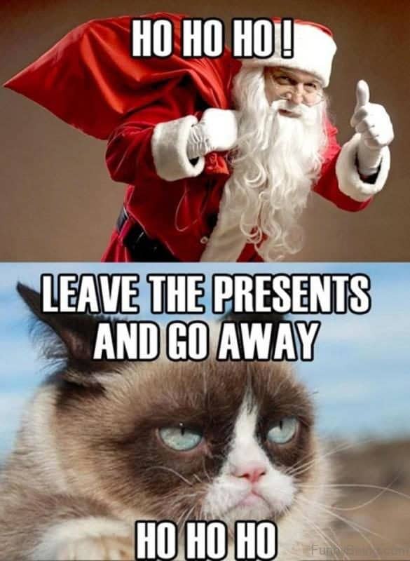 20 Super Funny Christmas Memes (Volume 1) | SayingImages.com