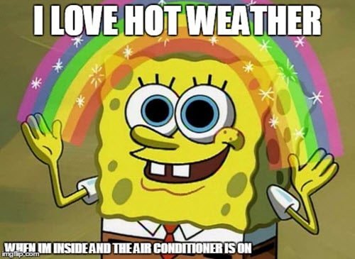 hot weather i love meme