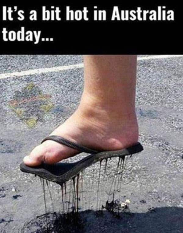 42 Hot Weather Memes To Help You Cool Down SayingImages