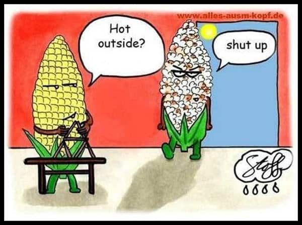 hot weather outside meme