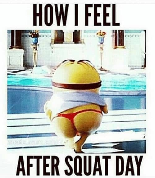 how i feel after squat meme