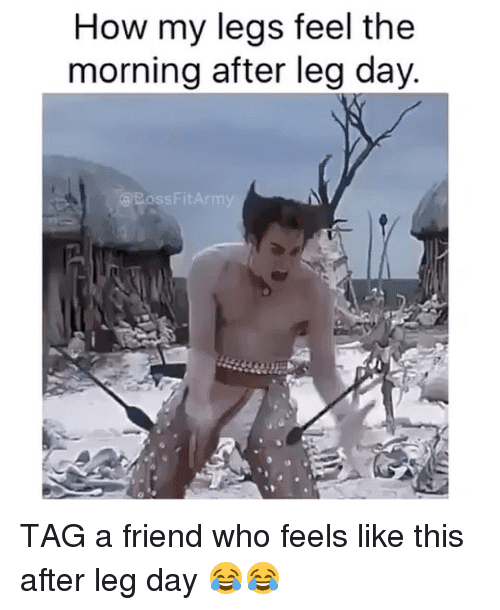 50 Hilarious After Leg Day Meme - Inspiring Pictures Quotes