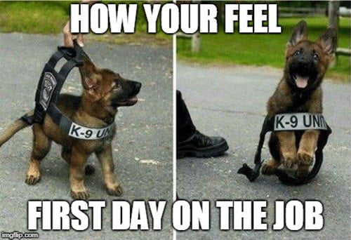 how you feel new job meme