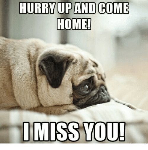 60 Cutest I Miss You Memes Of All Time Sayingimages Com