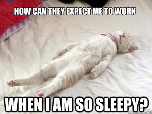 25 Best Sleepy Memes Sayingimages Com