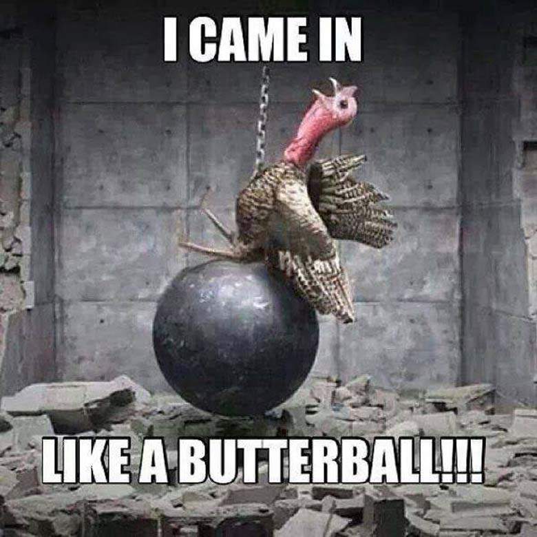 20 Happy Thanksgiving Memes To Help You Celebrate - SayingImages.com