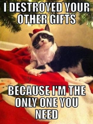 40+ Funny Merry Christmas Memes | wishlovequotes