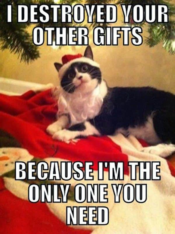 funny christmas quotes memes