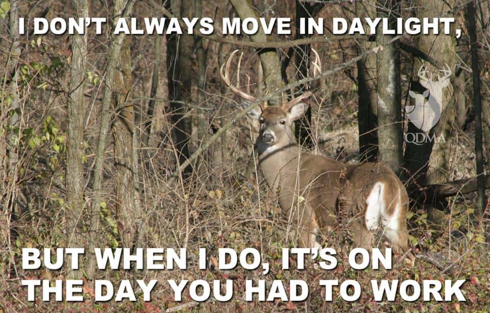 Download The 20 Best Deer Hunting Memes (So Far) | SayingImages.com