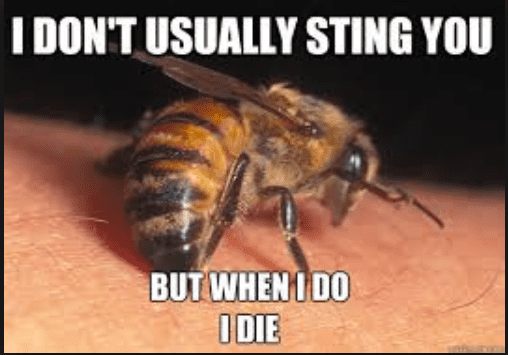 I Don’t Usually Sting You.