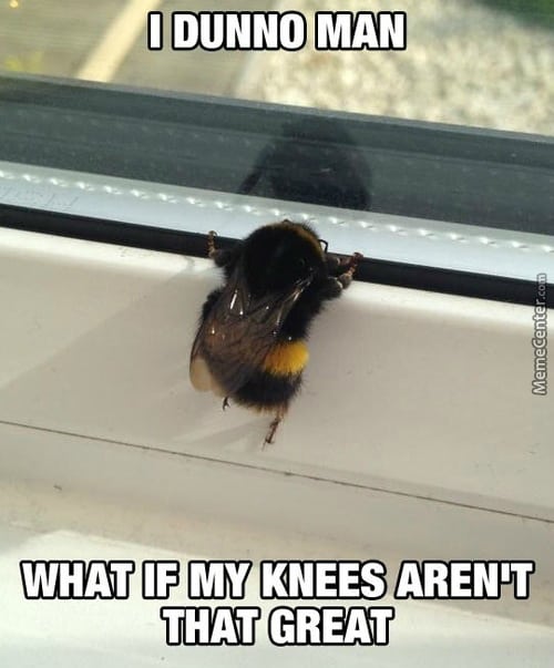 Entertaining Bee Memes You Just Can T Ignore Sayingimages Com