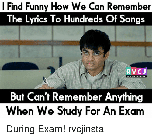 Really Hilarious Song Lyrics Memes That Ll Make You Happy Sayingimages Com