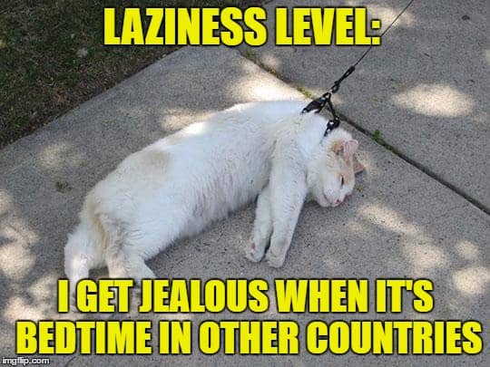 24 Lazy Memes That Ll Make Your Day So Much Better Sayingimages Com