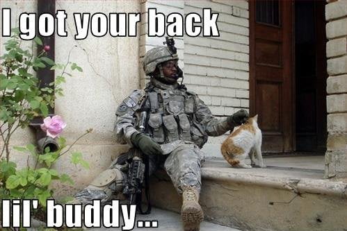 i-got-your-back-lil-buddy-veterans-day-meme.jpg