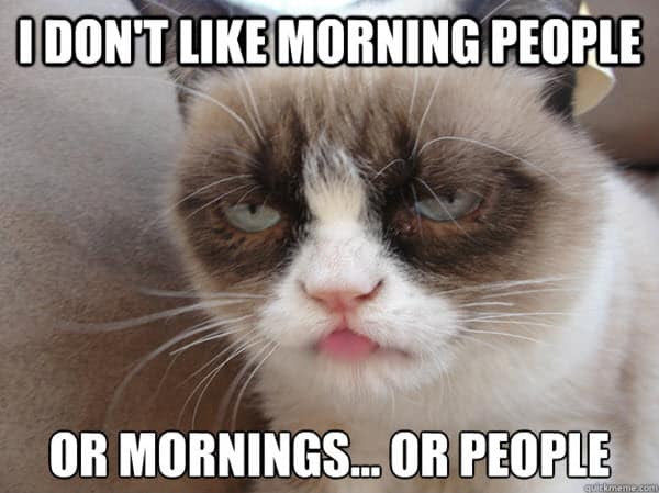 i hate morning people meme