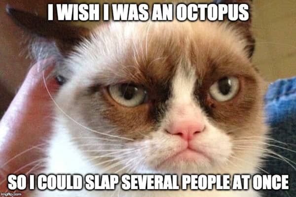 i hate people octopus wish meme