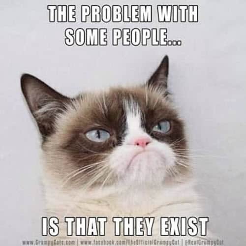 i hate people the problem meme