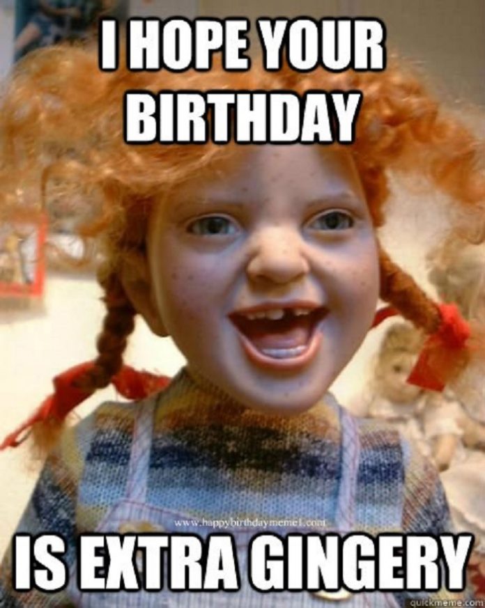 30 Hilarious Birthday Memes For Your Sister - SayingImages.com