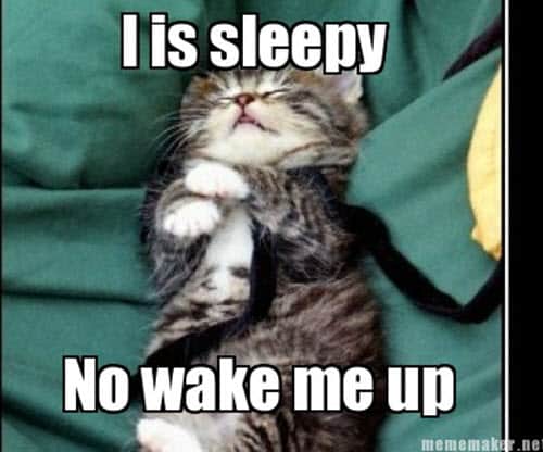 25 Best Sleepy Memes Sayingimages Com