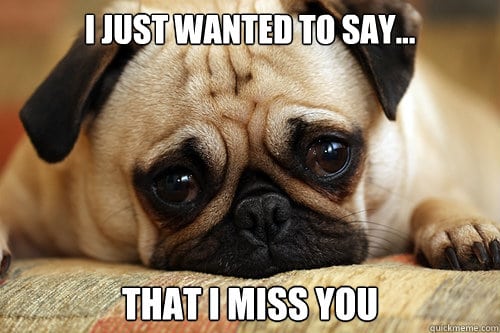 60 Cutest I Miss You Memes Of All Time Sayingimages Com