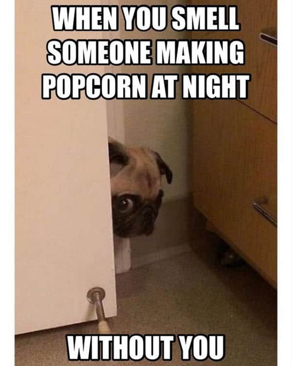 i love my husband smell popcorn meme