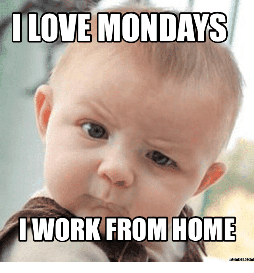 18 Working From Home Memes That Perfectly Sum It Up | SayingImages.com