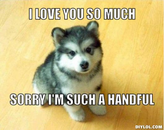 20 Very Sweet And Funny I Love You This Much Memes - SayingImages.com