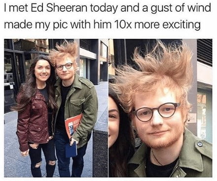 20 Ed Sheeran Memes With Cat | SayingImages.com