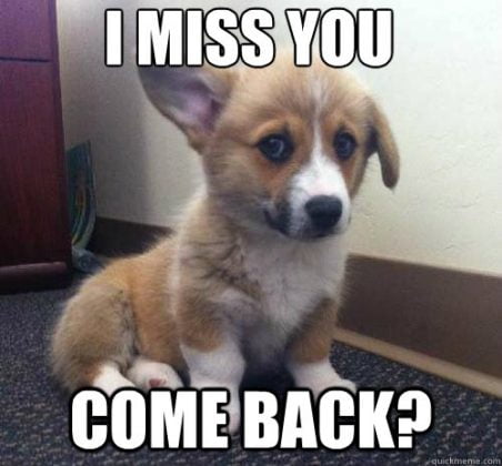 60 Cutest I Miss You Memes Of All Time - SayingImages.com