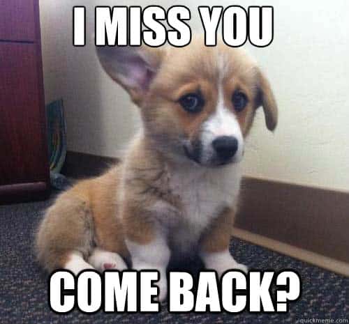 Cutest I Miss You Memes Of All Time Sayingimages Com