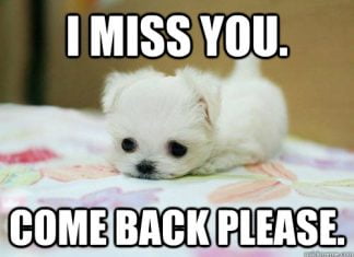 60 Cutest I Miss You Memes Of All Time - SayingImages.com