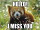 60 Cutest I Miss You Memes Of All Time - SayingImages.com