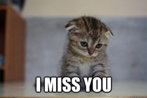 60 Cutest I Miss You Memes Of All Time - SayingImages.com