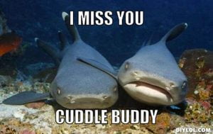 60 Cutest I Miss You Memes Of All Time - SayingImages.com