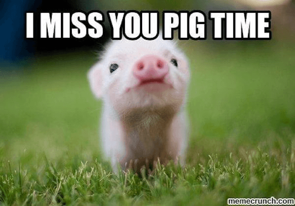 60 Cutest I Miss You Memes Of All Time 