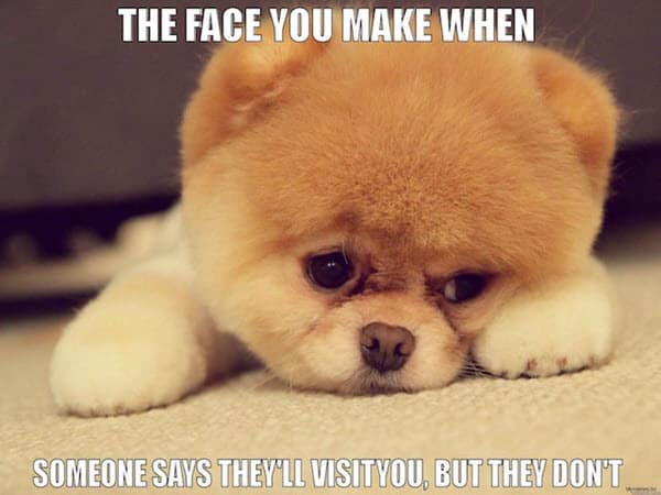 60 Cutest I Miss You Memes Of All Time 