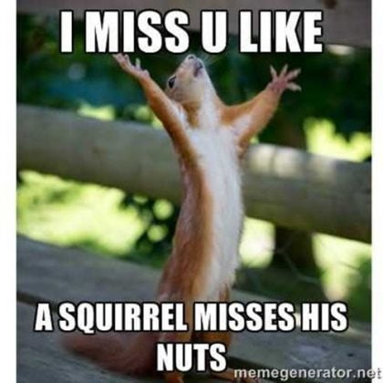 60 Cutest I Miss You Memes Of All Time - SayingImages.com