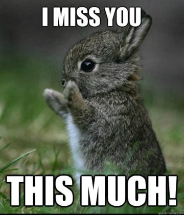 60 Cutest I Miss You Memes Of All Time - SayingImages.com