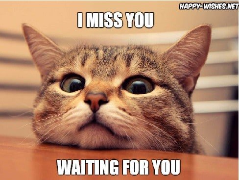 60 Cutest I Miss You Memes Of All Time Sayingimages Com