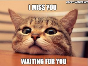 60 Cutest I Miss You Memes Of All Time - SayingImages.com