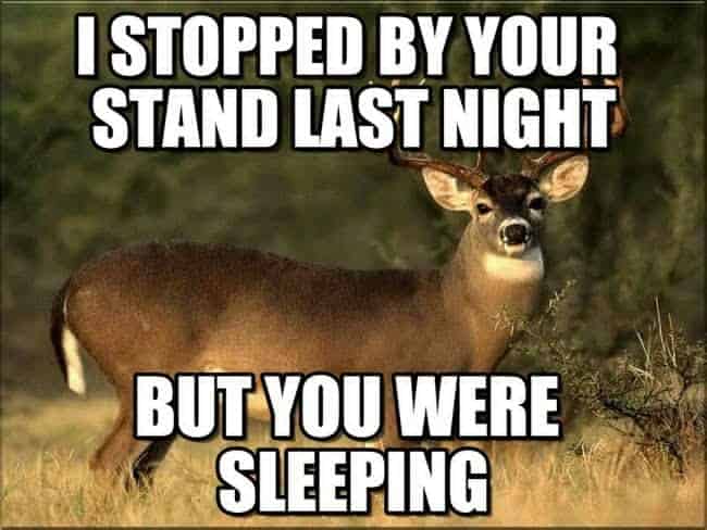 The 20 Best Deer Hunting Memes So Far SayingImages Com   I Stopped By Your Stand Last Night Deer Hunting Meme 