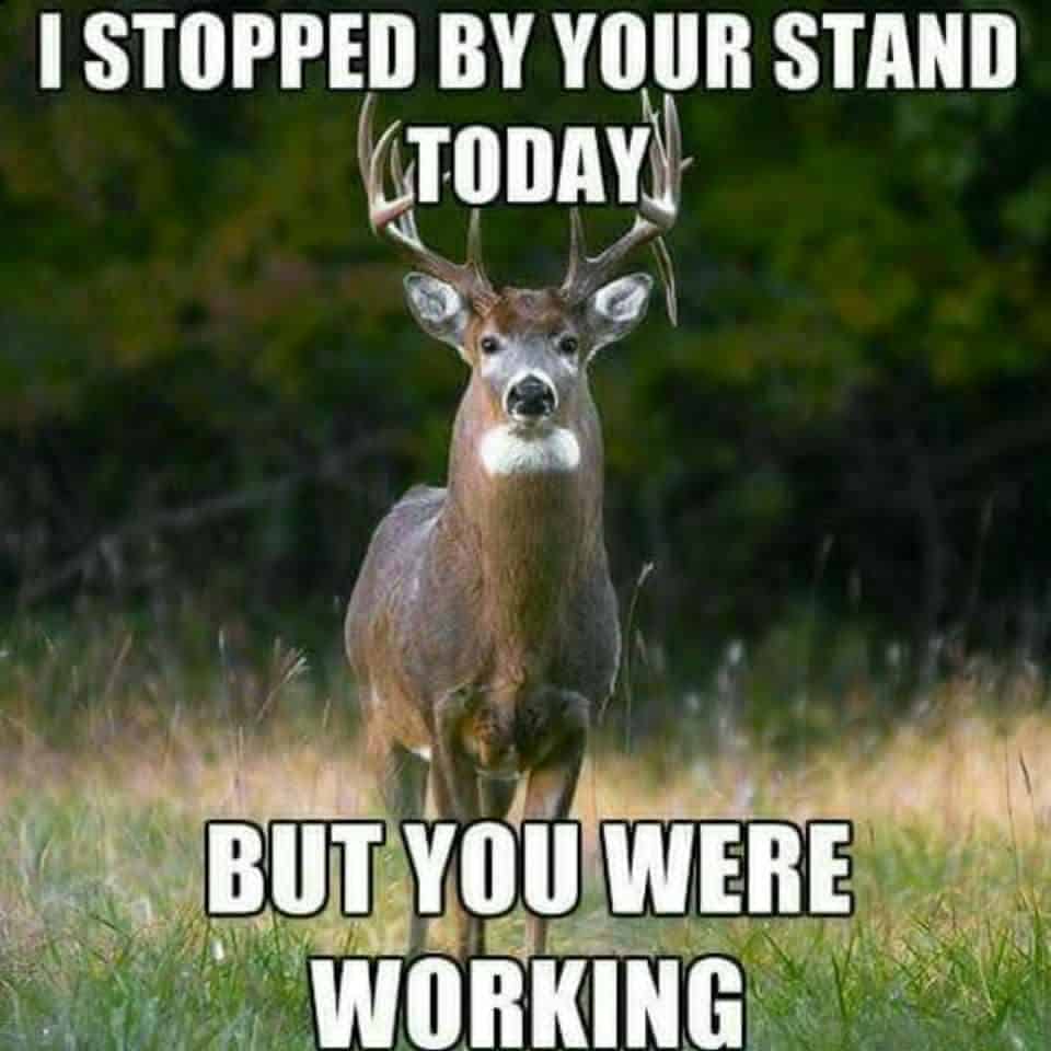 The 20 Best Deer Hunting Memes (So Far) 