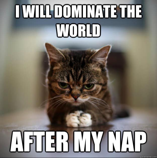 18 Nap Memes For The Sleep-Deprived | SayingImages.com