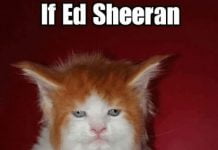 ed sheeran memes