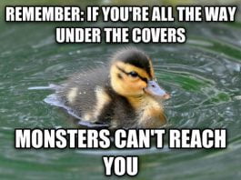 20 Totally Adorable Duck Memes You Won't Be Able To Resist 